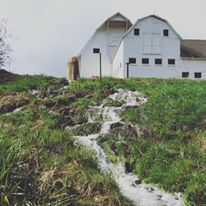 Photo 10 from SUMMIT LAND CONSERVANCY