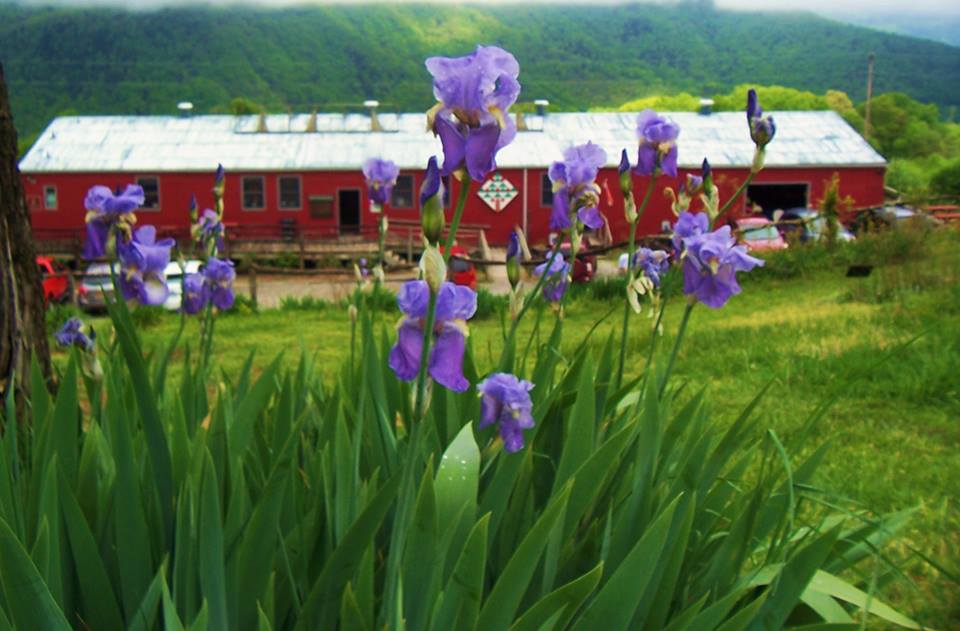 Photo 5 from ALTAPASS SUPPORT INC