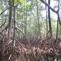 Photo 4 from EcoViva