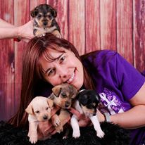 Photo 7 from TELLER COUNTY REGIONAL ANIMAL SHELTER