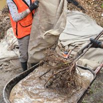 Photo 1 from FRIENDS OF TREES