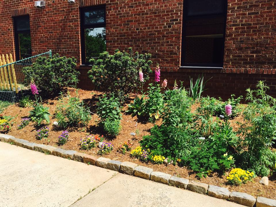 Photo 5 from Christ Our Shepherd Ministries