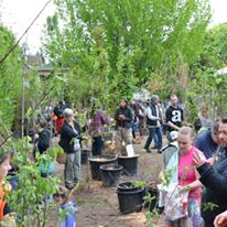 Photo 5 from FRIENDS OF TREES