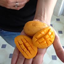 Photo 3 from SAN FRANCISCO SUICIDE PREVENTION INC