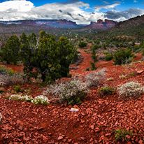 Photo 6 from OAK CREEK WATERSHED COUNCIL