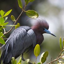 Photo 2 from The Naples Zoo