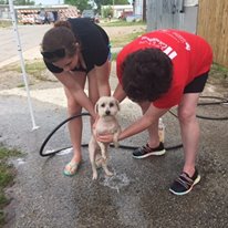 Photo 1 from PET FOOD PANTRY OF OKLAHOMA CITY INC