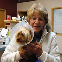 Photo 1 from High Sierra Animal Rescue