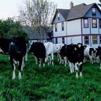 Photo 2 from Southwest Badger Resource Conservation & Development Council