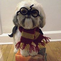 Photo 10 from New Eyes for the Needy