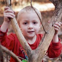 Photo 9 from Blue Monarch