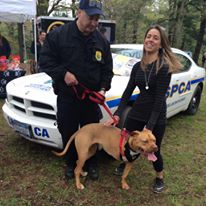 Photo 8 from Furbridge, Inc.