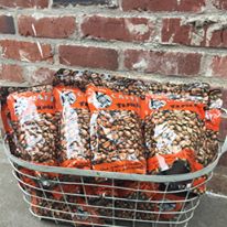 Photo 5 from ETHIOPIAN ORPHAN RELIEF INC