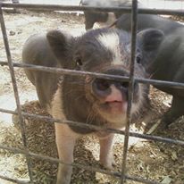 Photo 3 from World Care