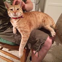 Photo 2 from ABUNDANT HOPE INTERNATIONAL