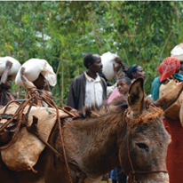 Photo 3 from Crisis Aid International