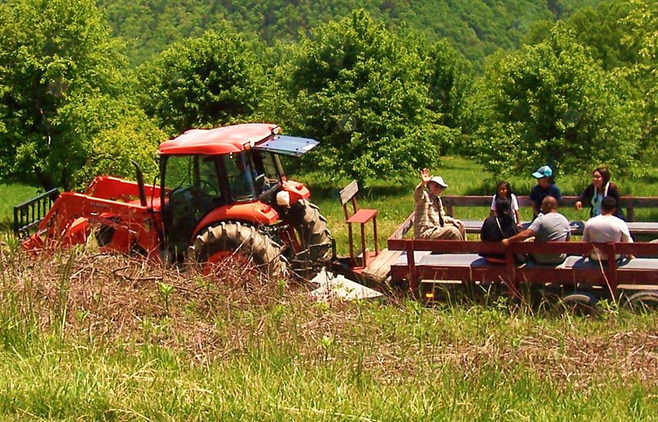 Photo 4 from ALTAPASS SUPPORT INC