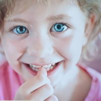 Photo 6 from Blue Monarch