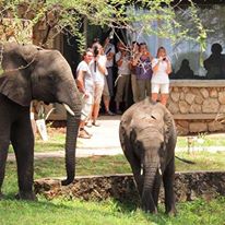 Photo 3 from The Naples Zoo