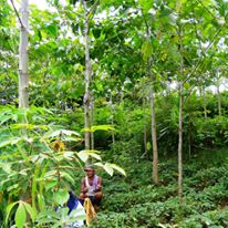 Photo 1 from EcoAgriculture Partners