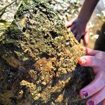 Photo 9 from SUMMIT LAND CONSERVANCY