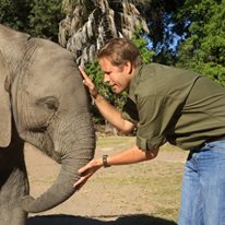 Photo 7 from Elephants Without Borders/EWB Inc.