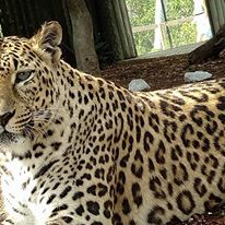 Photo 6 from The Naples Zoo