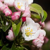 Photo 4 from Norman Bird Sanctuary Trust