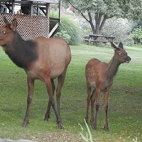 Photo 7 from Nature Abounds