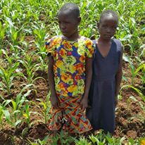 Photo 6 from Village Project Africa