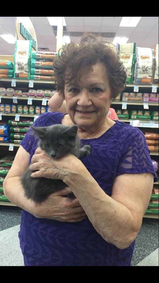 Photo 5 from FERAL FRIENDS COMMUNITY CAT ALLIANCE