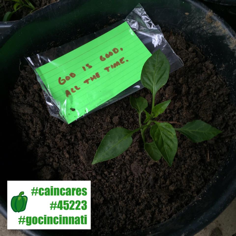 Photo 1 from Churches Active in Northside