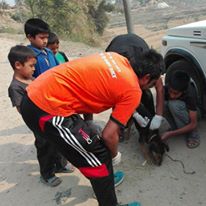 Photo 6 from HELP ANIMALS INDIA                                                    