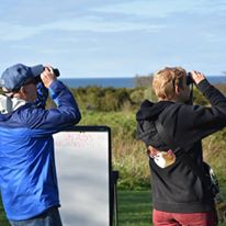 Photo 1 from Norman Bird Sanctuary Trust