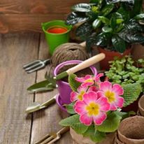 Photo 2 from Senior Assistance Center