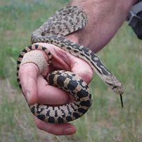 Photo 4 from North Cascades Institute