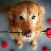 Photo 5 from Communities In Schools of Tacoma