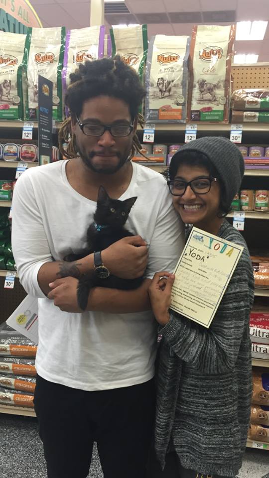 Photo 4 from FERAL FRIENDS COMMUNITY CAT ALLIANCE