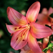 Photo 1 from Catherine McAuley Center