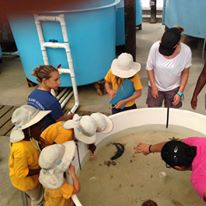 Photo 2 from CAPE ELEUTHERA INSTITUTE