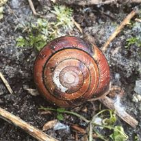 Photo 2 from The Nature Consortium