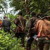 Photo 6 from Invisible Children