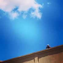 Photo 3 from ALABAMA RIVERS ALLIANCE INC