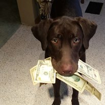 Photo 1 from WGRC - SALT & LIGHT MEDIA MINISTRIES INC