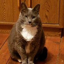 Photo 2 from WGRC - SALT & LIGHT MEDIA MINISTRIES INC