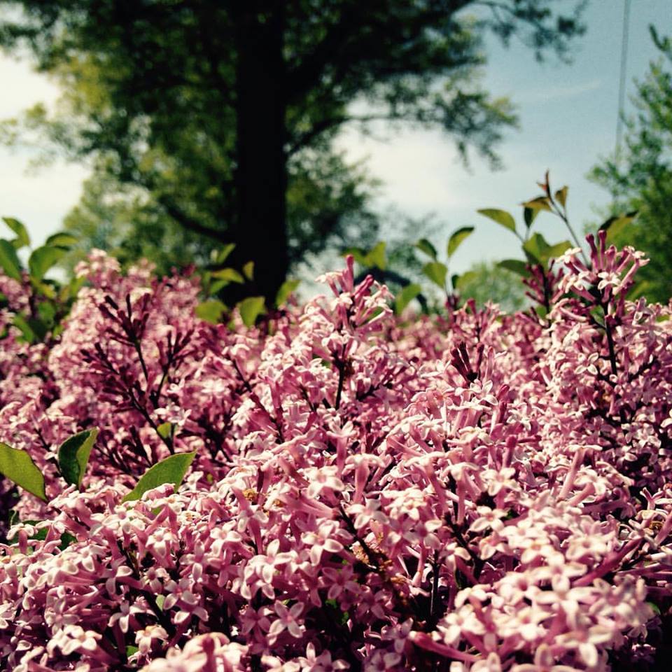 Photo 8 from New Avenues to Independence, Inc