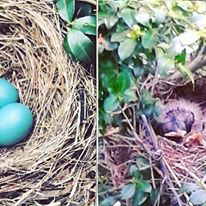 Photo 9 from Great Swamp Watershed Association