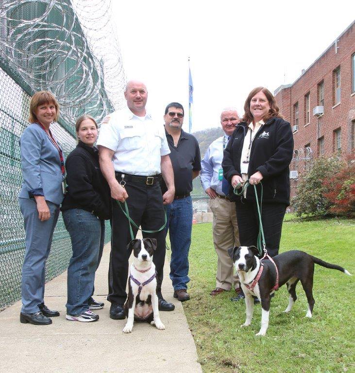 Photo 3 from Ruff Dog Rescue North East