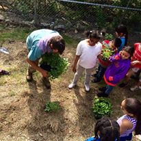 Photo 2 from The Food Bank For Westchester, Inc.