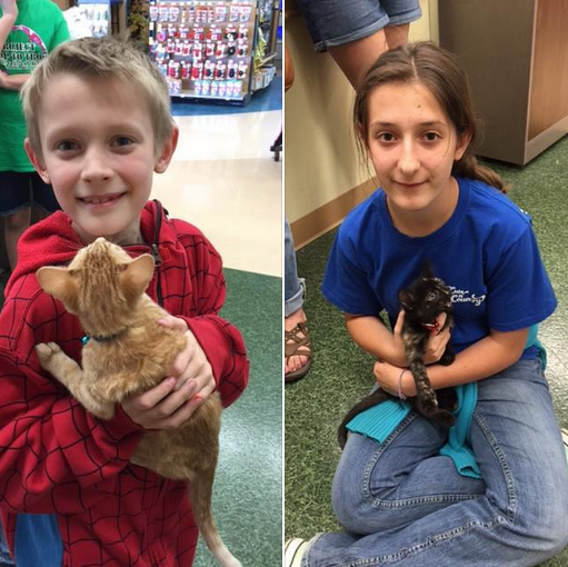 Photo 2 from FERAL FRIENDS COMMUNITY CAT ALLIANCE